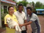 ส่งมอบสุนัขกลับให้เจ้าของ