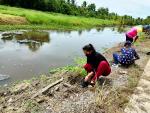 โครงการบางนบร่วมใจ รักษาน้ำใสคูคลอง - ปลูกต้นทองอุไร